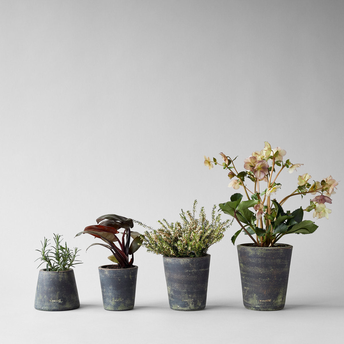 grey terracotta plant pots Grey Patina Terra Cotta Basic Planter