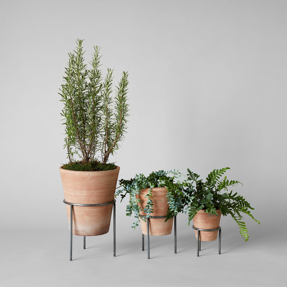terracotta house plant pots Whitewash Terracotta Studio Planter