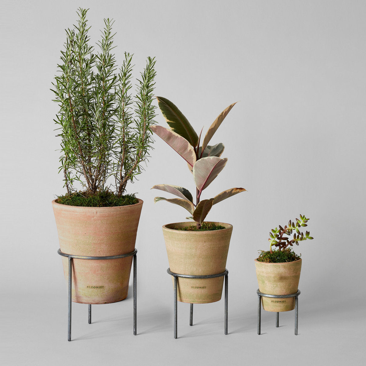 house plants in terracotta pots Greenwash Terracotta Studio Planter | Artisan Made