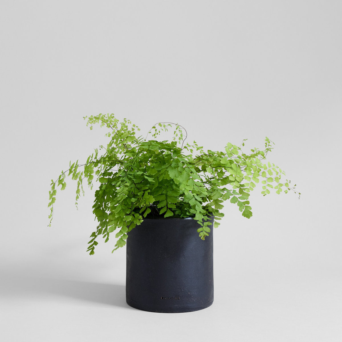 charcoal in plant pots Modern Terra Cotta Planters | Matte Charcoal Cachepots