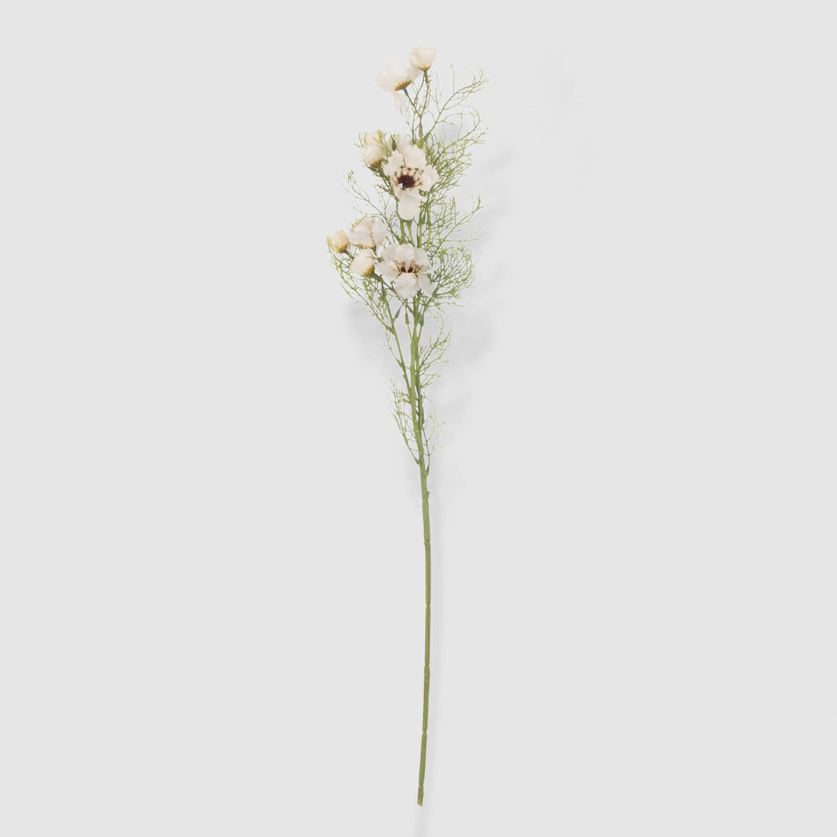 Faux Cosmo Cream Flower | Bloomist Faux Florals