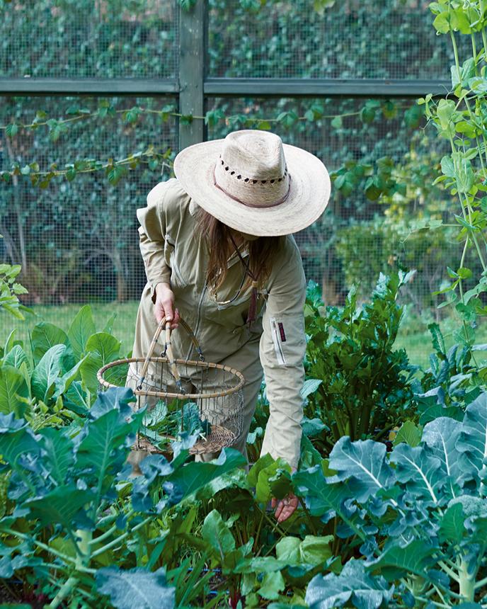 Beauty and Bounty Together In An Edible Garden