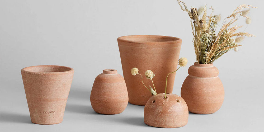 The Best Plants for Terracotta Pots: A Complete Guide