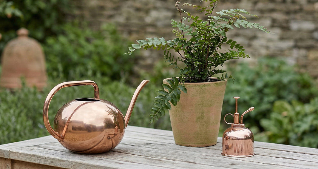 How to Water Terracotta Pots: Bottom Watering, Drainage & Moisture Tips