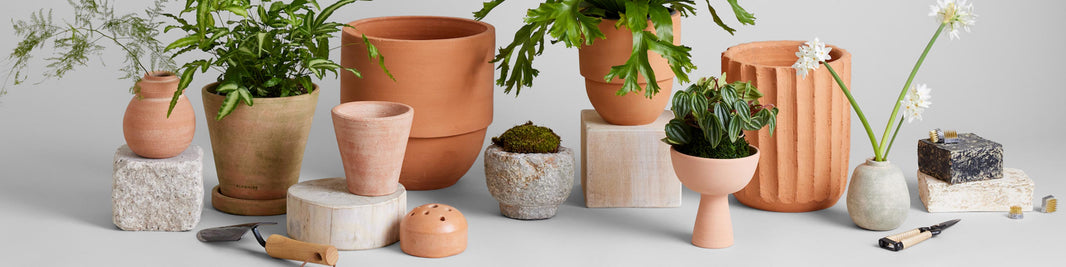 Top Gifts for Gardeners 2025