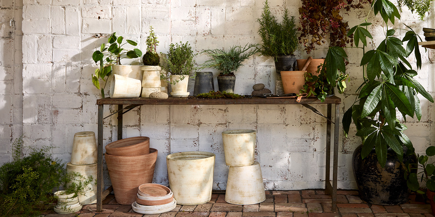 Pots + Planters