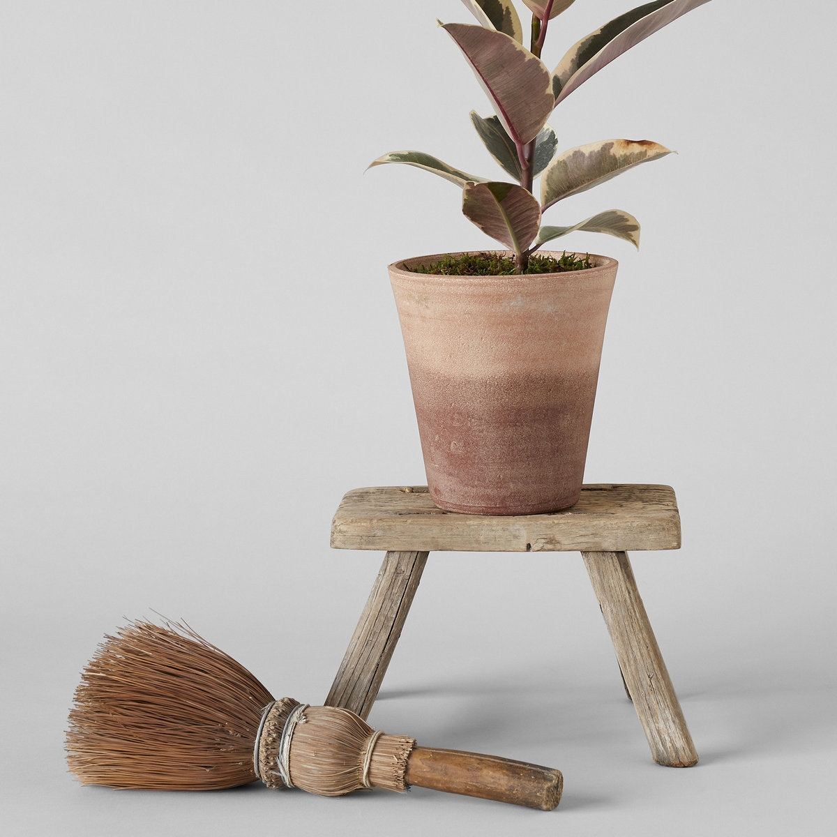 Studio Planter, Whitewash - Bloomist