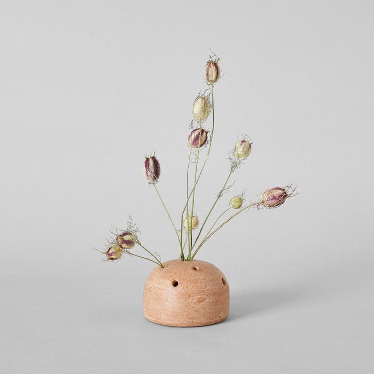 Terra Cotta Frog Vases - Bloomist