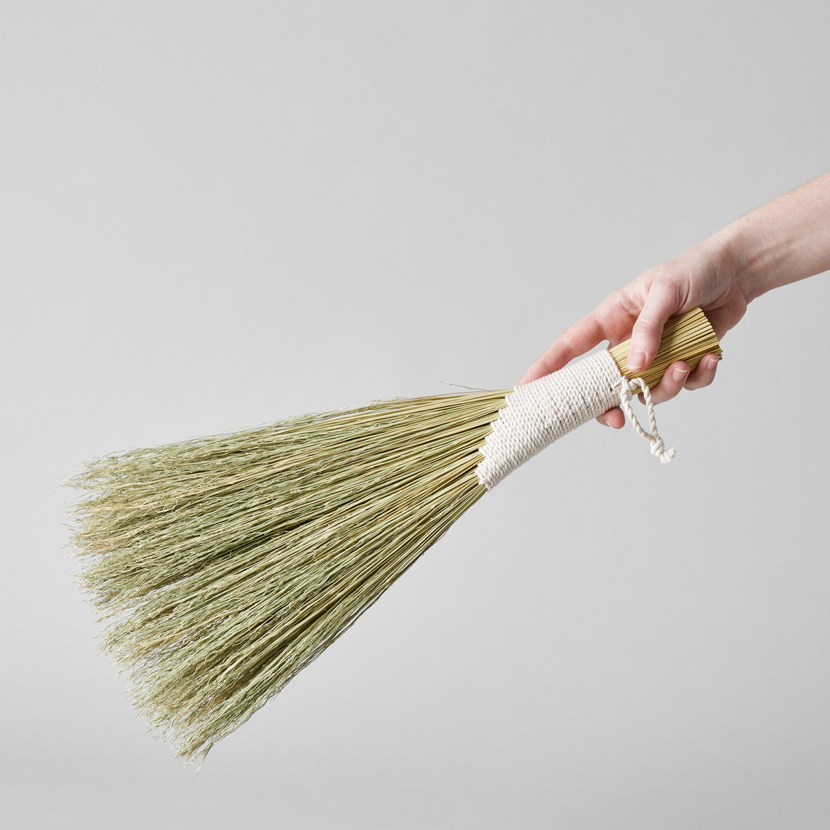 Wing Hand Broom, Natural - Bloomist