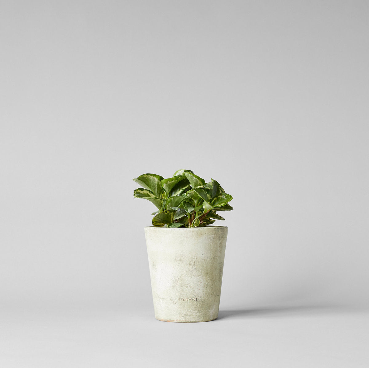 Basic Planter, White Patina
