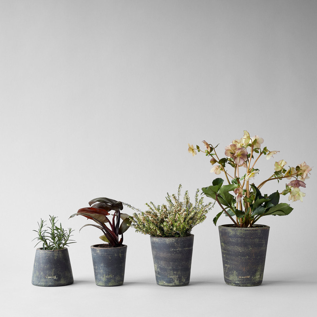 Basic Planter, Gray Patina - Bloomist