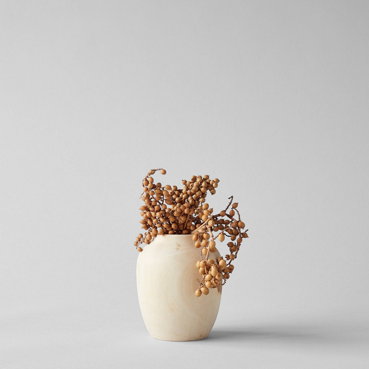 Bloomist Canella Berry Stems