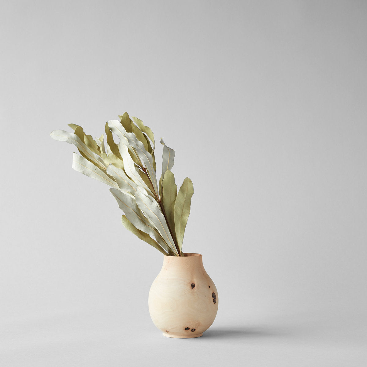 Stunning Dried Banksia Foliage in a gorgeous small vase