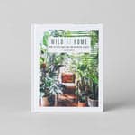 Wild at Home: How to Style and Care for Beautiful Plants - Bloomist