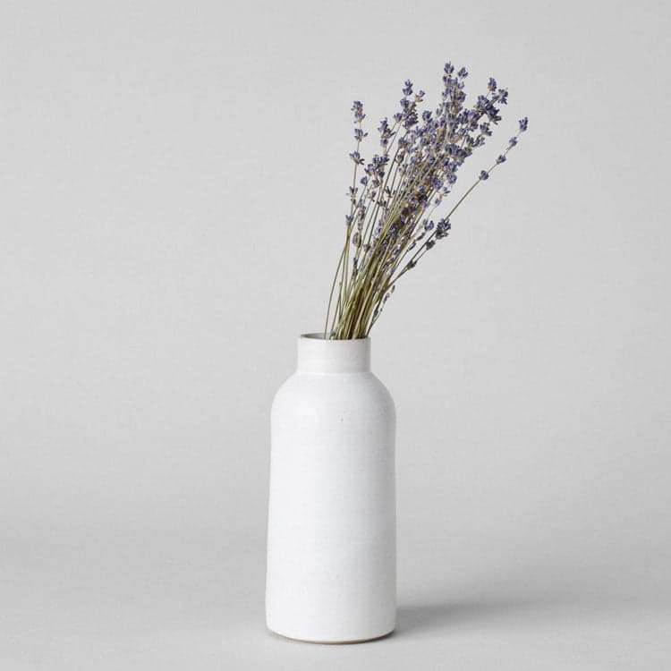 Bottle Vase - Bloomist
