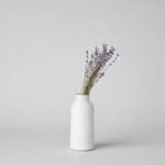 Dried Lavender - Bloomist