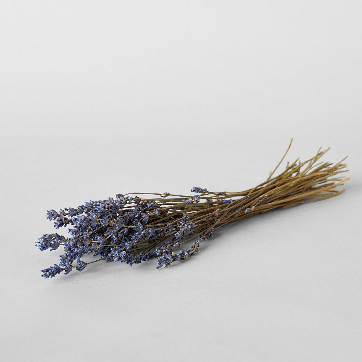 Dried Lavender - Bloomist