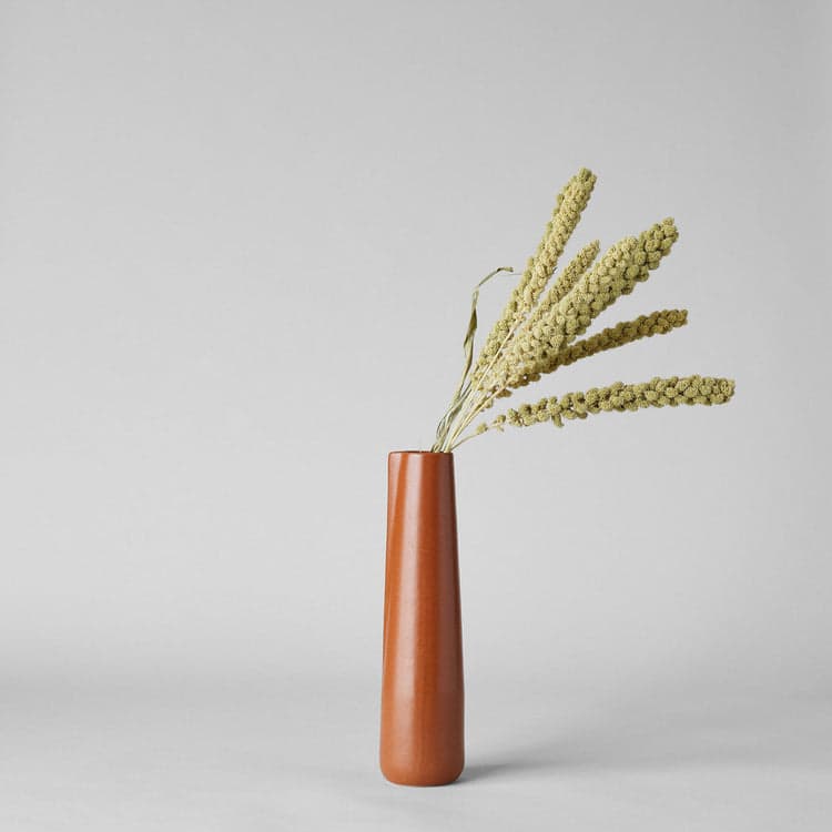 Dried Spray Millet - Bloomist