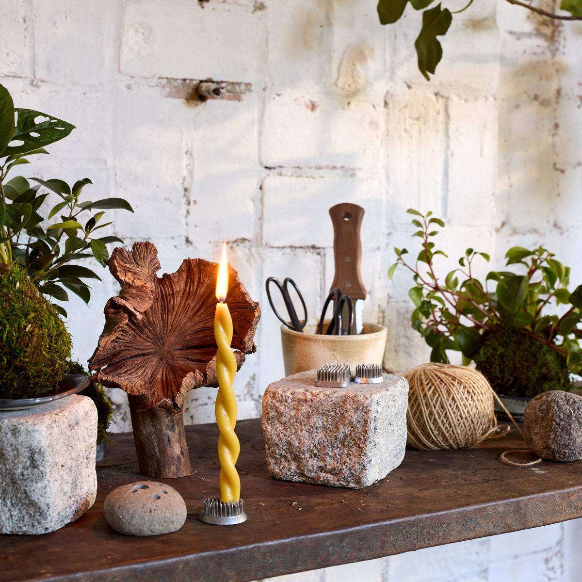 Hand-Twisted Beeswax Candles, Set of 4