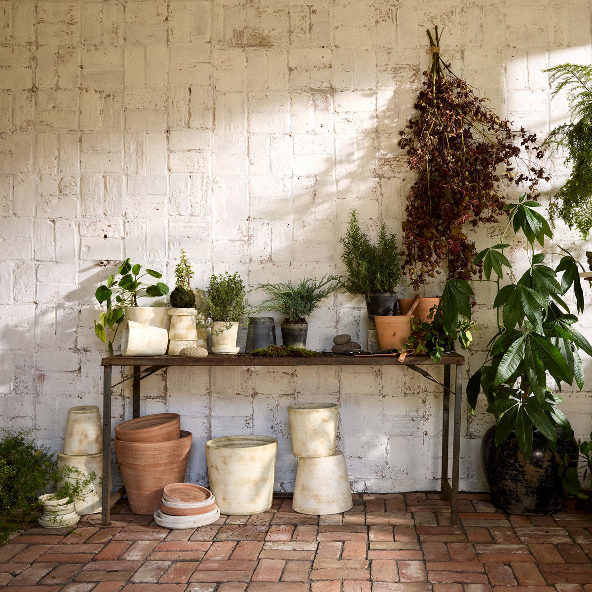 Studio Planter, Whitewash - Bloomist