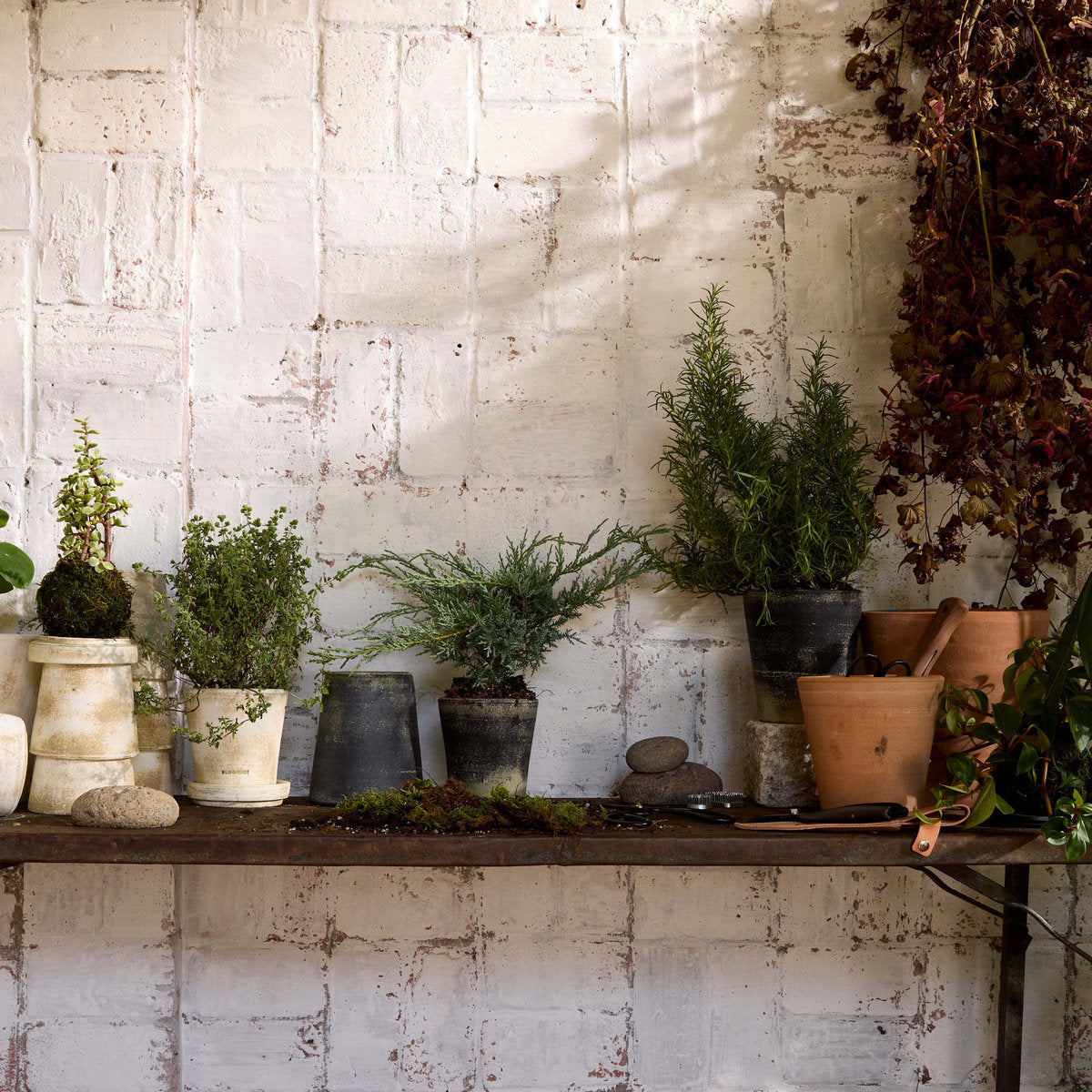 Basic Planter, Grey Patina - Bloomist