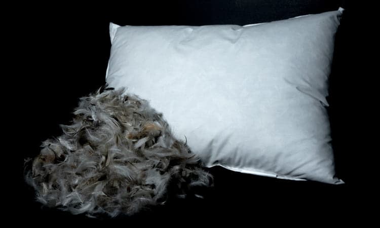 Our 10/90 pillows are filled with a combination of 90% gray duck feathers and 10% goose down for a soft and luxurious feel that is certain to spoil those that enjoy its use.  This pillow boasts a 233-thread count shell made from 100% premium cotton fabric and also touts feather-proof kicking for ultimate comfort. 