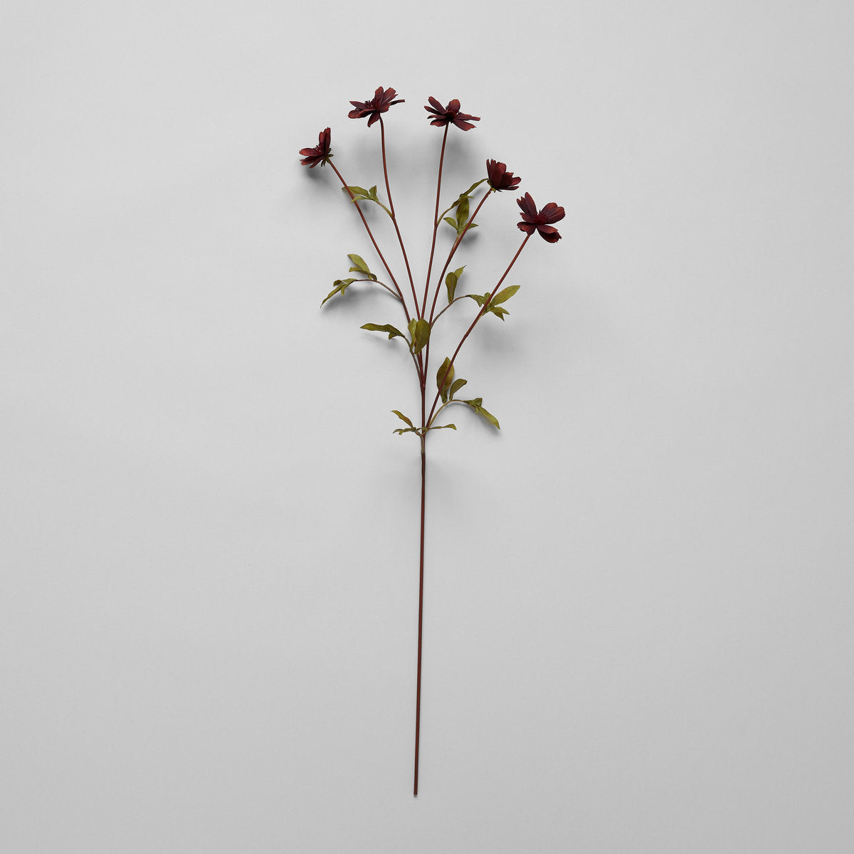 EcoFaux Chocolate Cosmos Stem - Bloomist