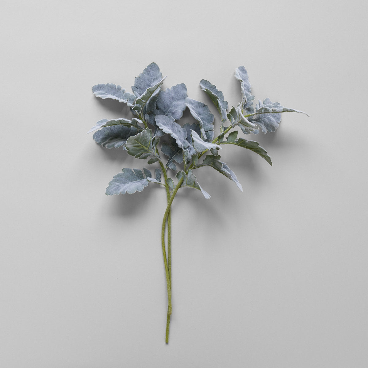 EcoFaux Dusty Miller Spray - Bloomist