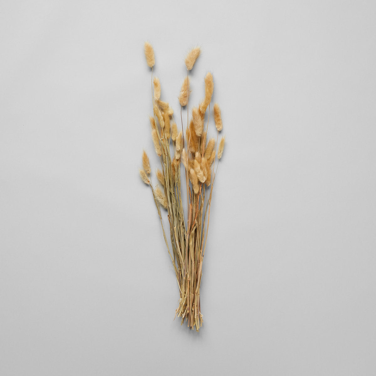 Dried Natural Bunny Tails