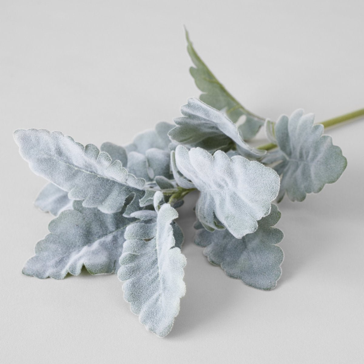 EcoFaux Dusty Miller Spray - Bloomist