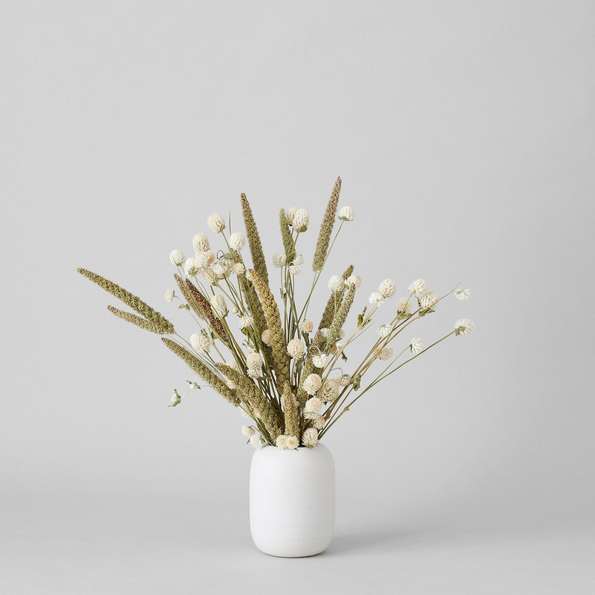 Cream Globe Amaranthus