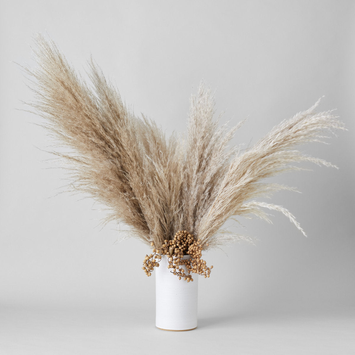 Bloomist Canella