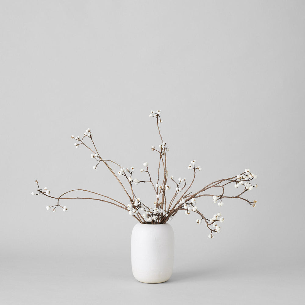 Tallow Berries - Bloomist