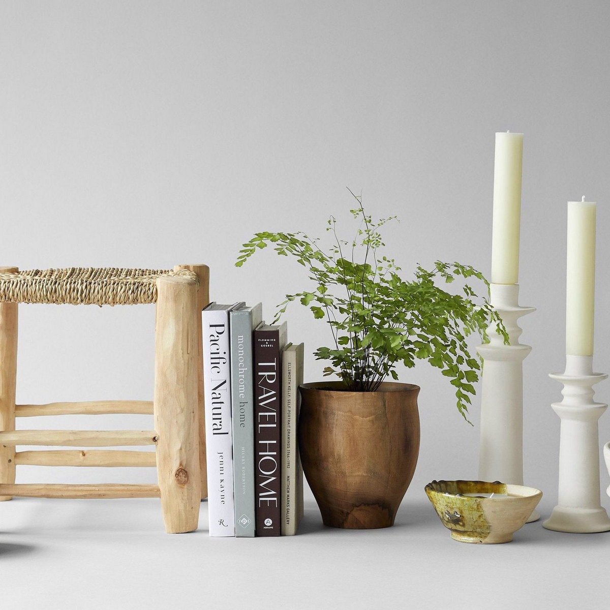 Design book exploring how one color family shapes an entire home