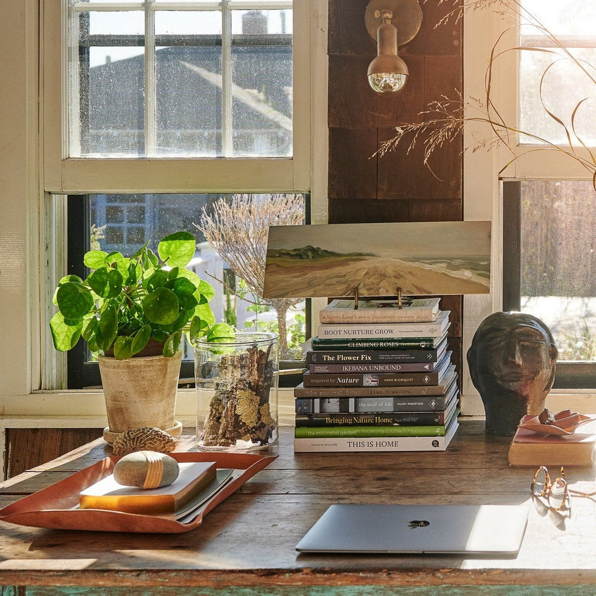 Natural Hand-Shaped Tray - Bloomist