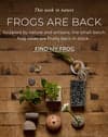 Frogs are back in stock
