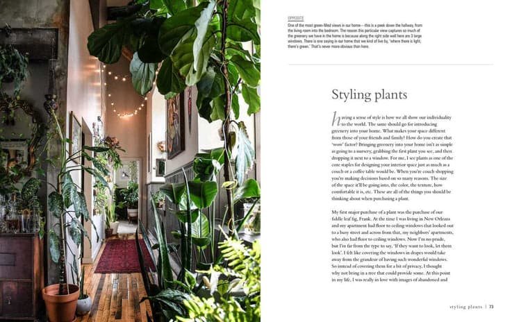 Wild at Home: How to Style and Care for Beautiful Plants - Bloomist