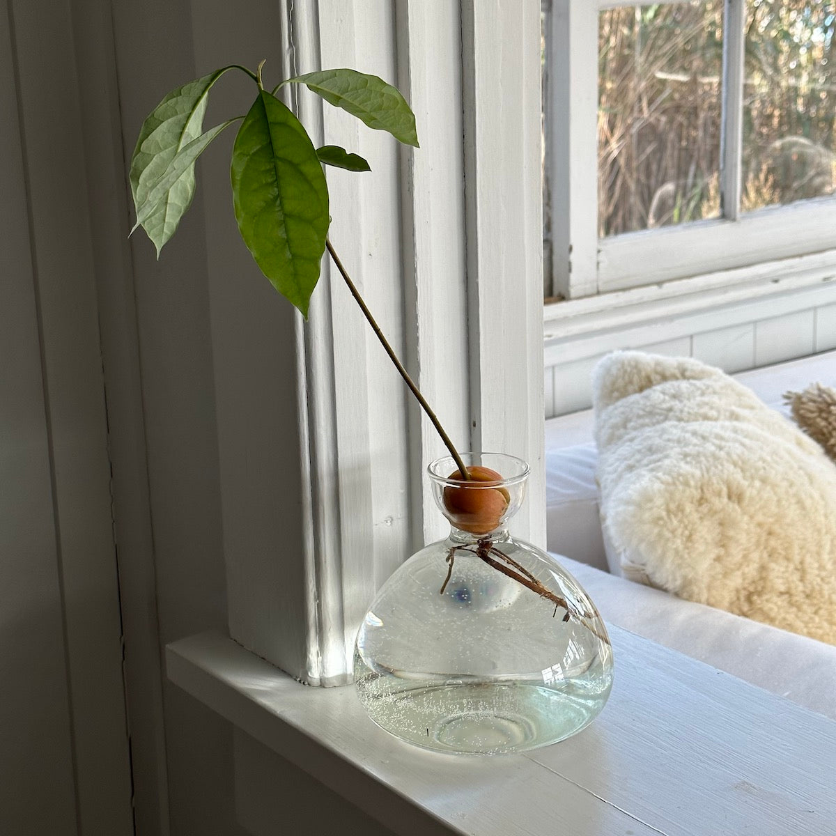 Ilex Studio Vase - Thumbnail 2