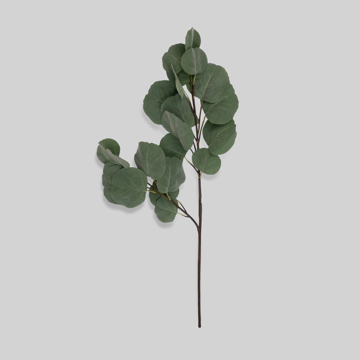 Faux silver dollar eucalyptus stem with rounded silvery-green leaves