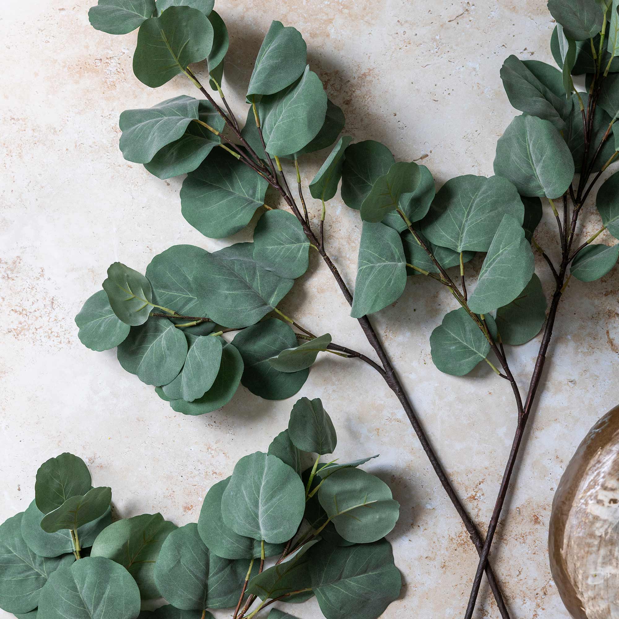 Close-up of matte silvery-green eucalyptus leaves on faux stem