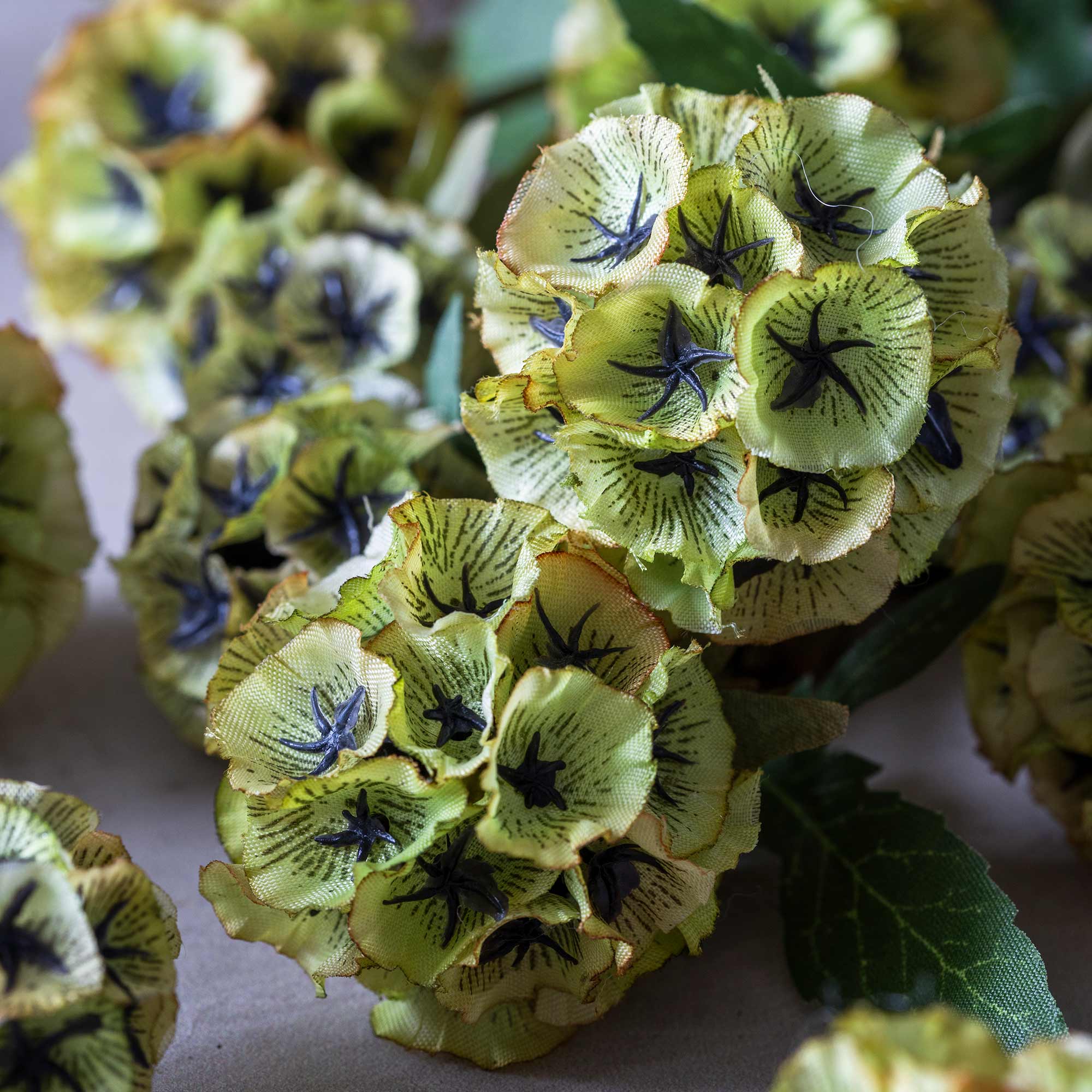 Close-up of faux scabiosa blooms with dark centers