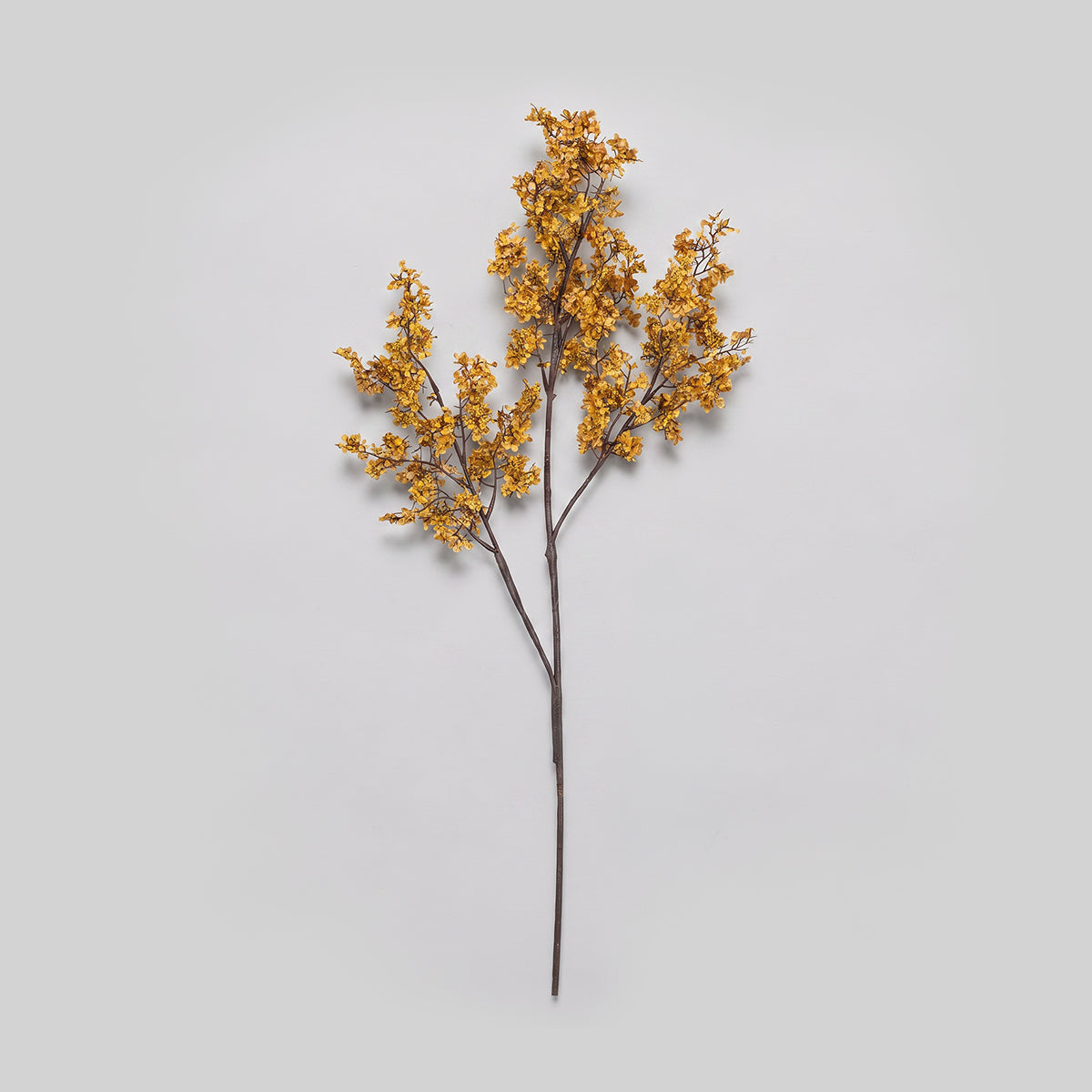 Faux Sedge, Winter Saffron sedge grass stem with branching brown stems and clusters of small saffron-colored seed heads.
