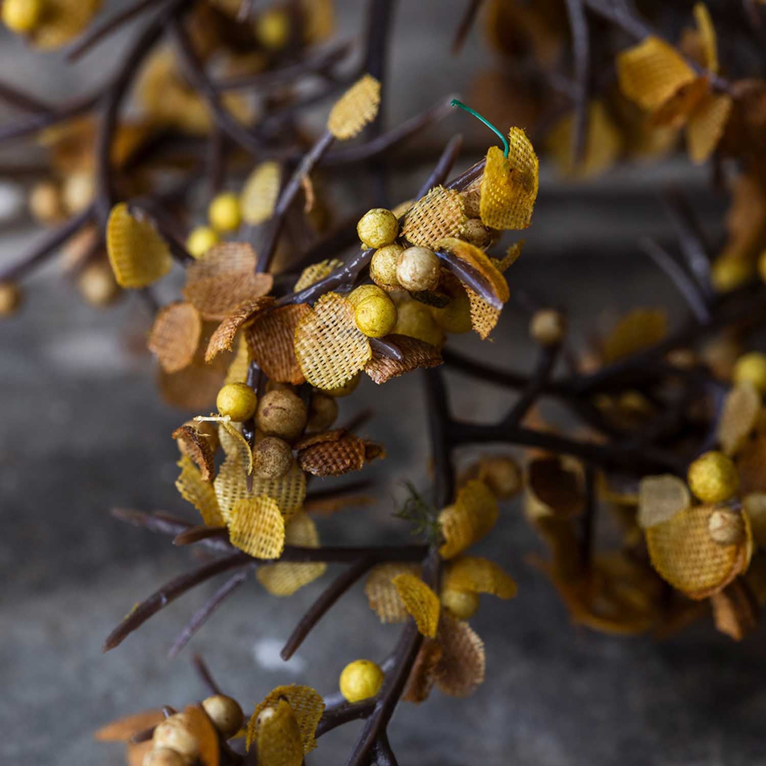 Artificial Sedge, Winter Saffron sedge grass stem with branching brown stems and clusters of small saffron-colored seed heads.

