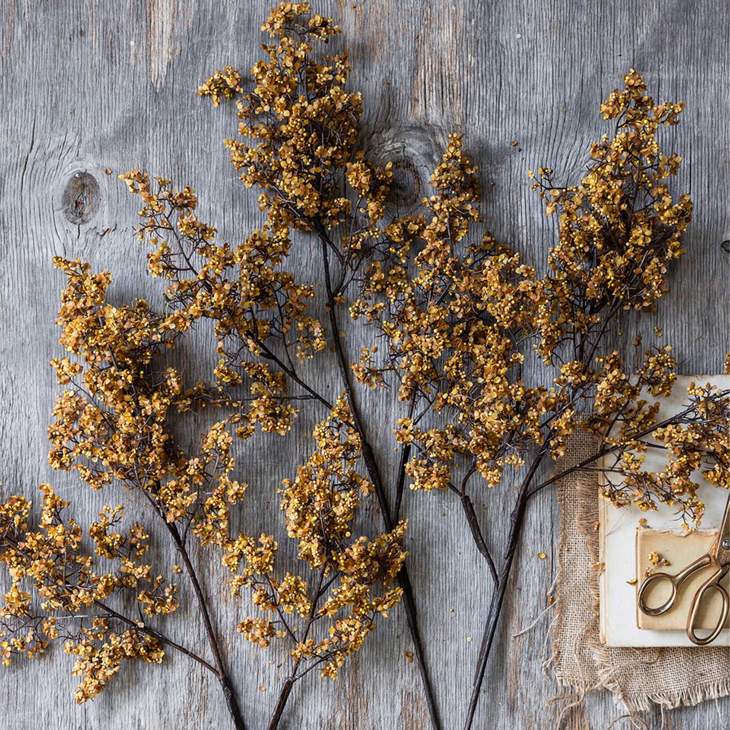 Artificial Sedge, Winter Saffron sedge grass stem with branching brown stems and clusters of small saffron-colored seed heads displayed on a weathered wood surface.
