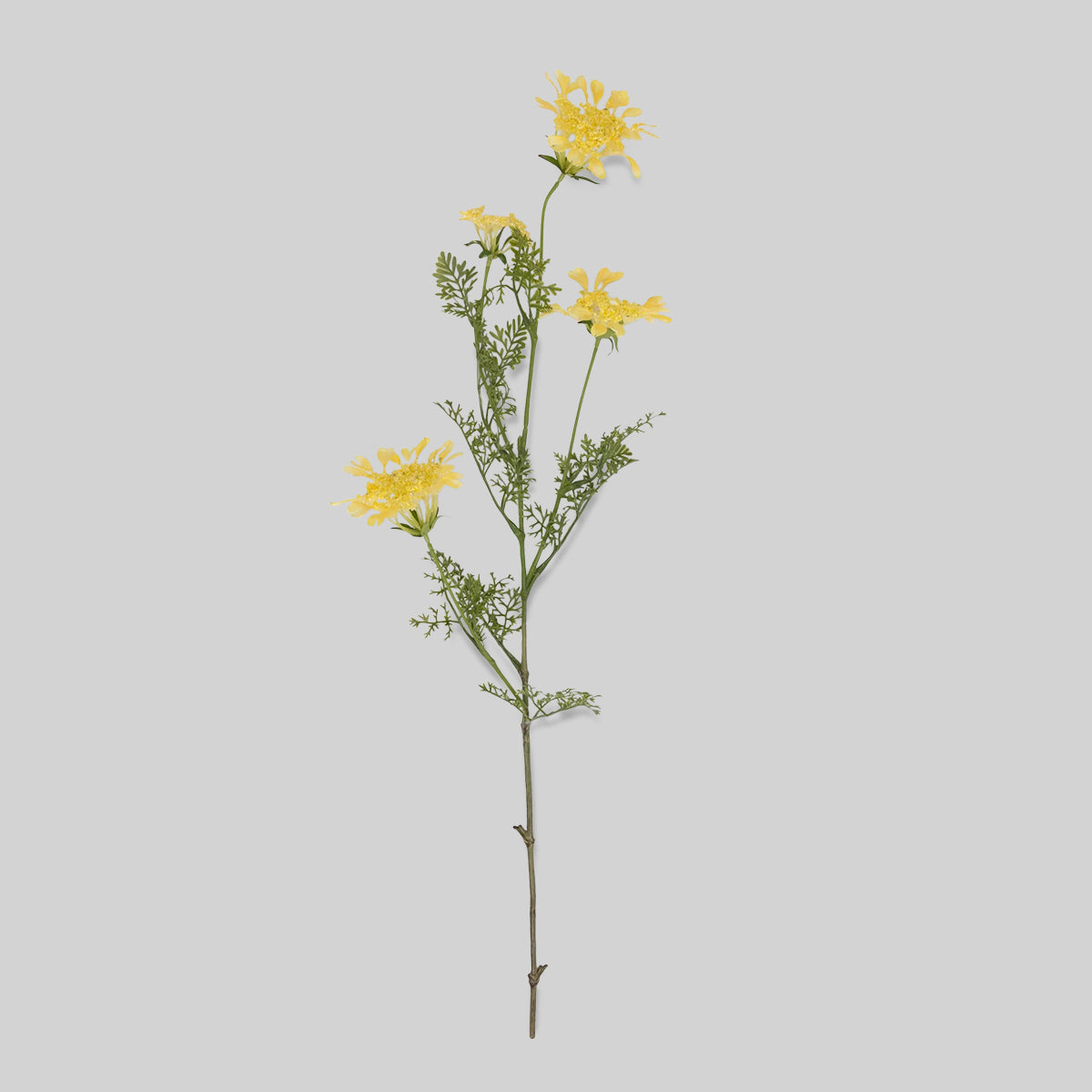 Tall wild dill stem with yellow artificial flowers and feathery green foliage