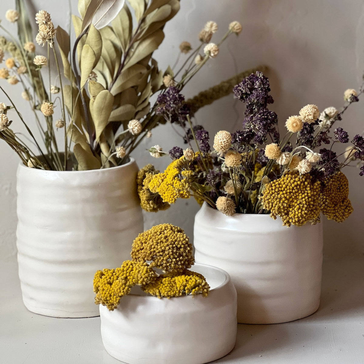 Dried Banksia Foliage - Bloomist