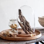 Recycled Plain Glass Cloche + Wood Base Set - Bloomist