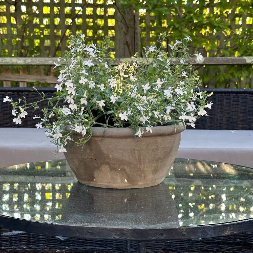 Vintage Grey Planter, Medium - Thumbnail 5