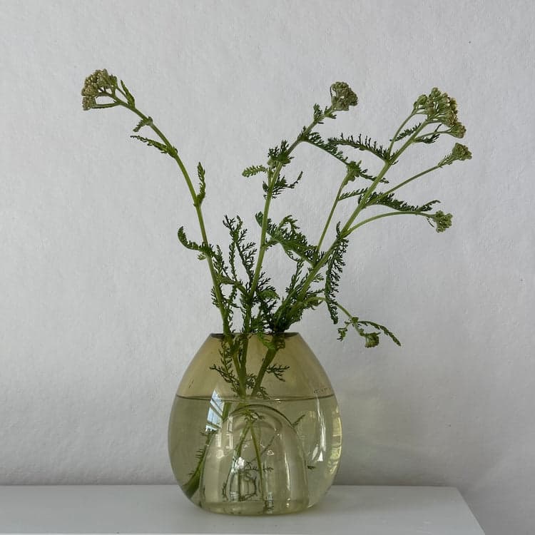 The Büble, Diffuser / Vase