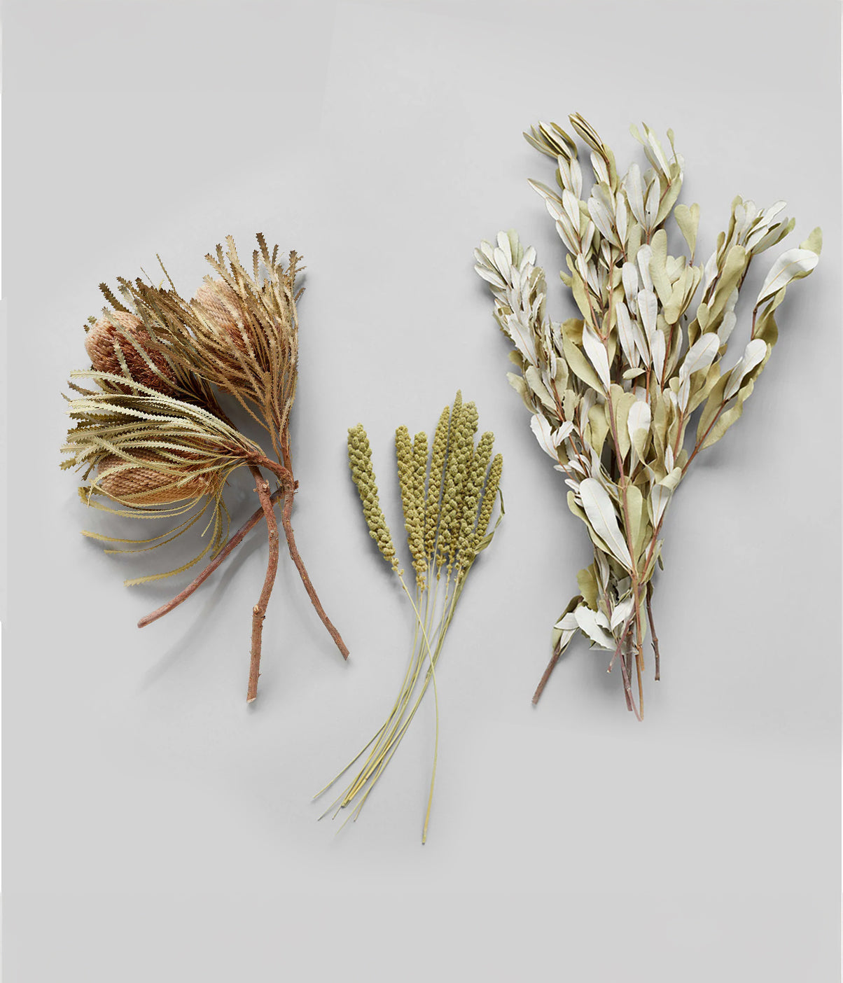 Adelaide Dried Botanical Bouquet